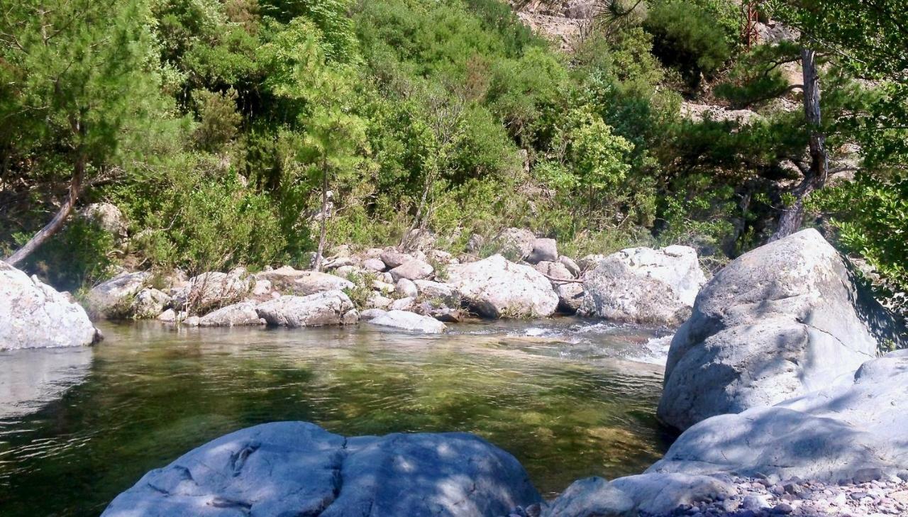 Pietranera Studio Proche De La Mer A 2Km De Bastia Ville-di-Pietrabugno Exteriér fotografie